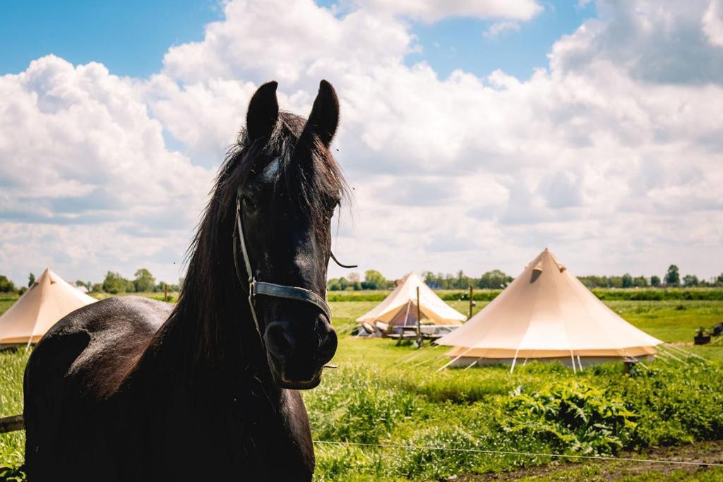 Smuk Lytse Bell Tent Echtenerbrug Exterior foto